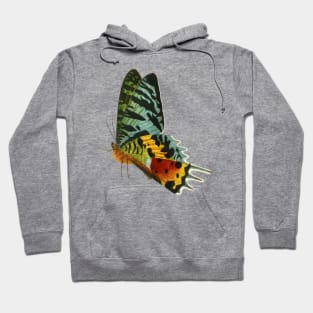 Colorful Butterfly Side view Hoodie